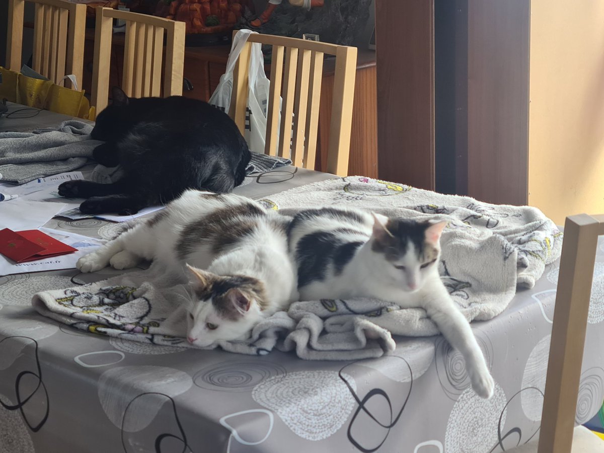 Neiria - AG & PaxDei Creator; Star Citizen Lover tweet media