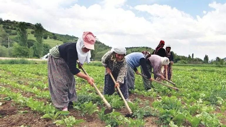 Elmalı’da Mevsimlik İşçi Yevmiyesi 1.300 TL, Fazla Mesai Ücreti Saatlik 160 TL Olarak Belirlendi.