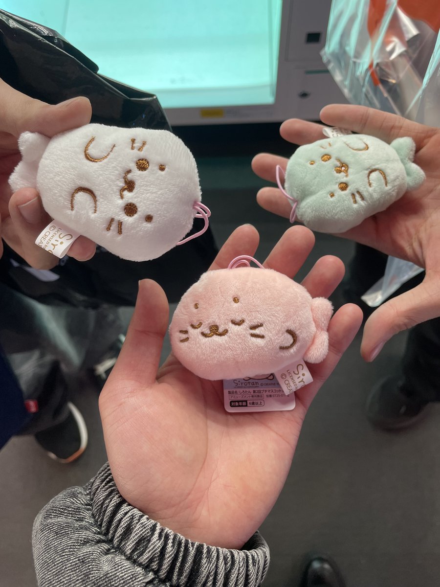 でこぽ🍊 tweet media