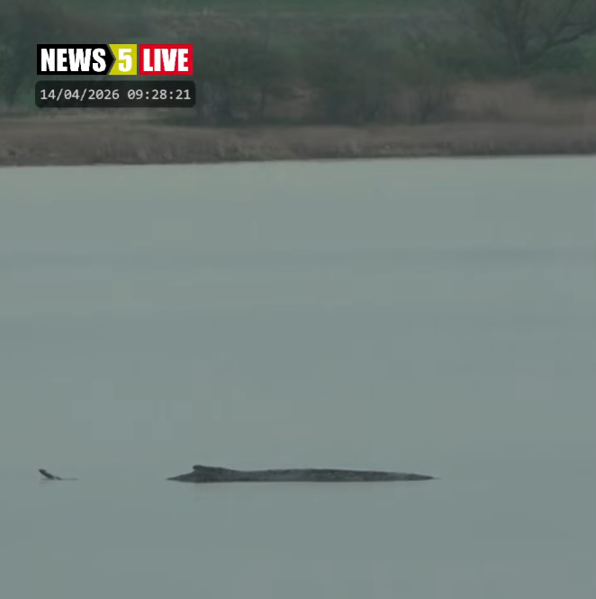 Nin 🐋💙 tweet media