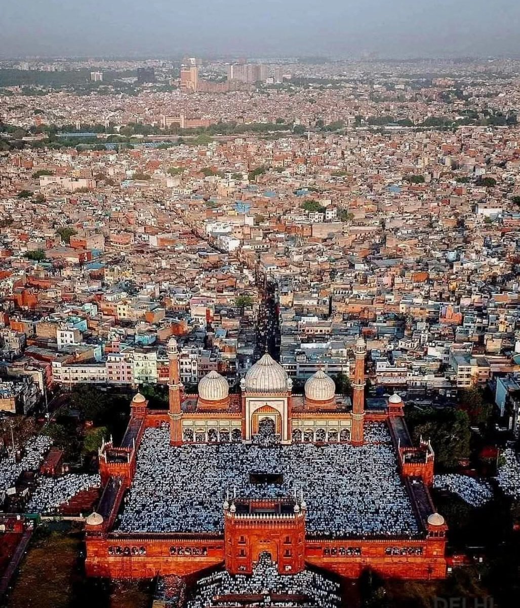 Lotus Awakened tweet media