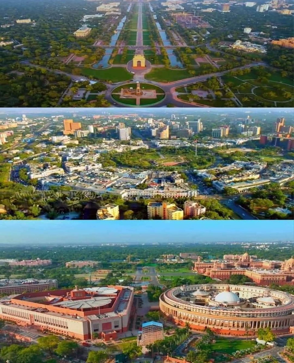 Lotus Awakened tweet media