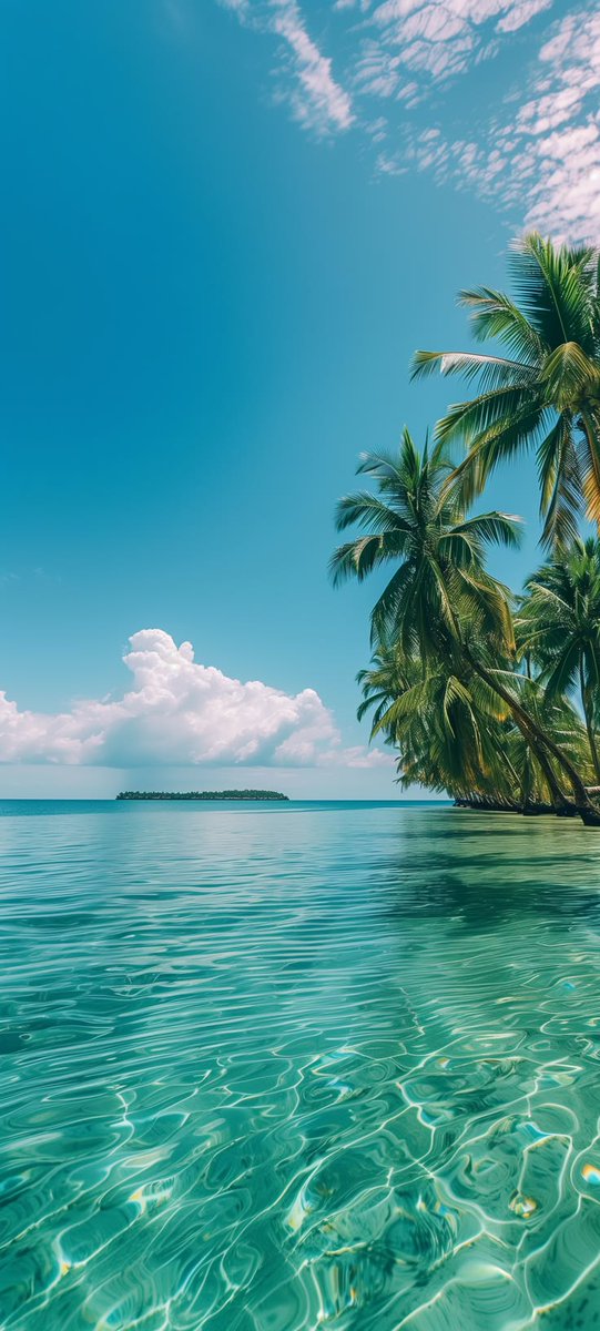 lynxchizzy's tweet image. New wallpaper ✨ 
#Tropical #Nature