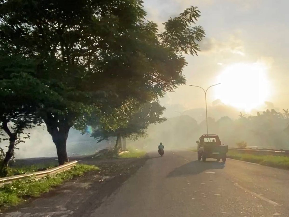 BaleBengong tweet media