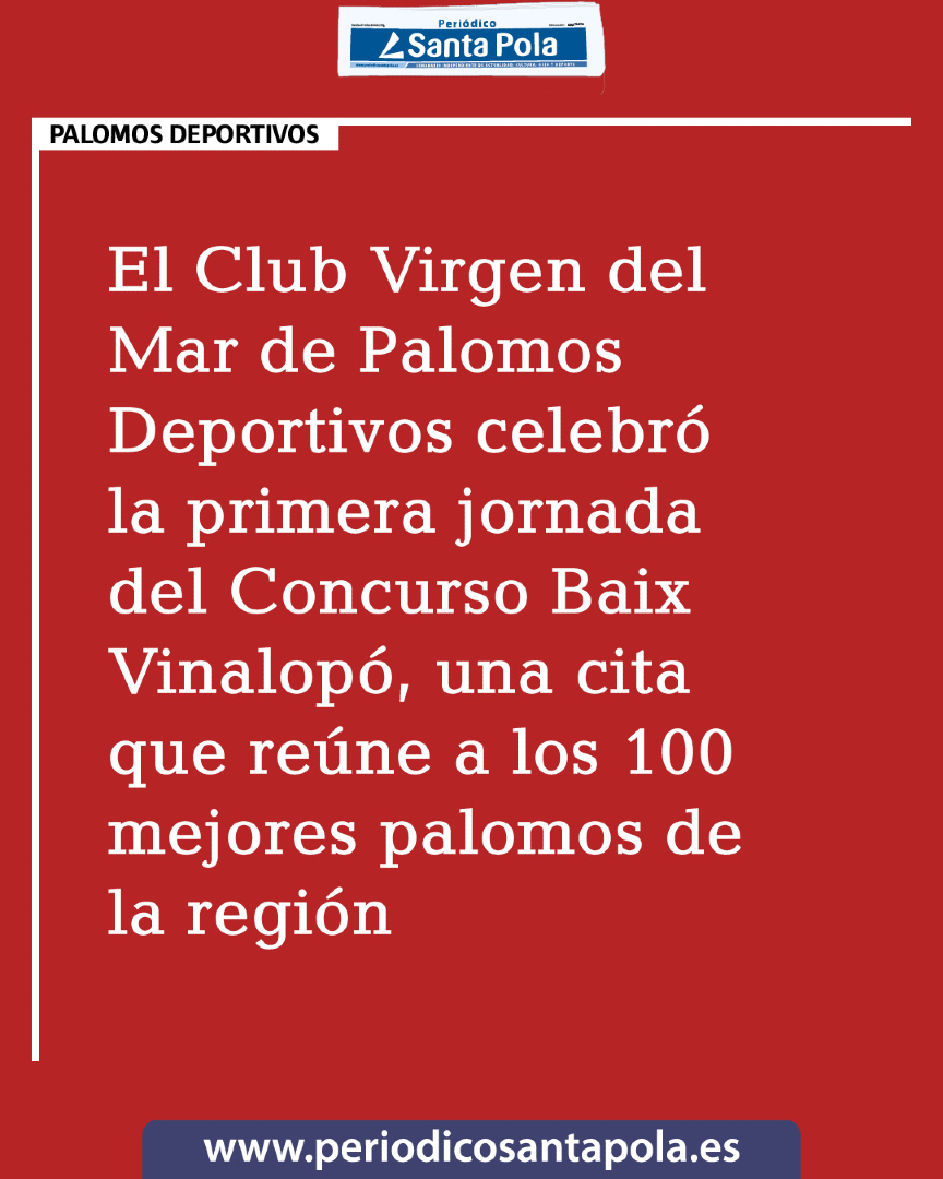 Periódico Santa Pola tweet media