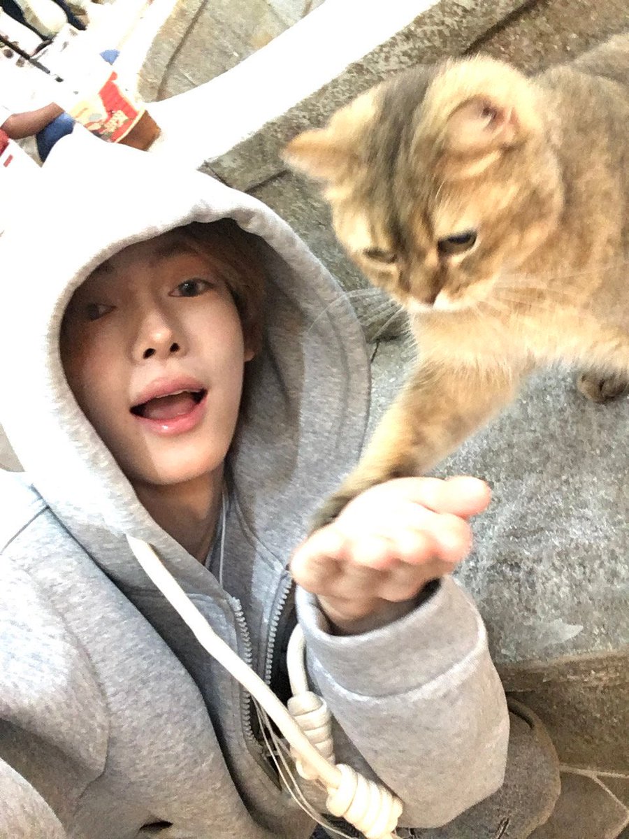 TWSLATION_'s tweet photo. [250414] #HANJIN WV POST

🐰: sooo cute

#한진 #TWS #투어스 @TWS_PLEDIS https://t.co/VBZ80Ndllv