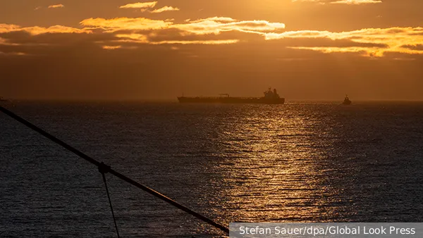 Gianfranco Cei tweet media