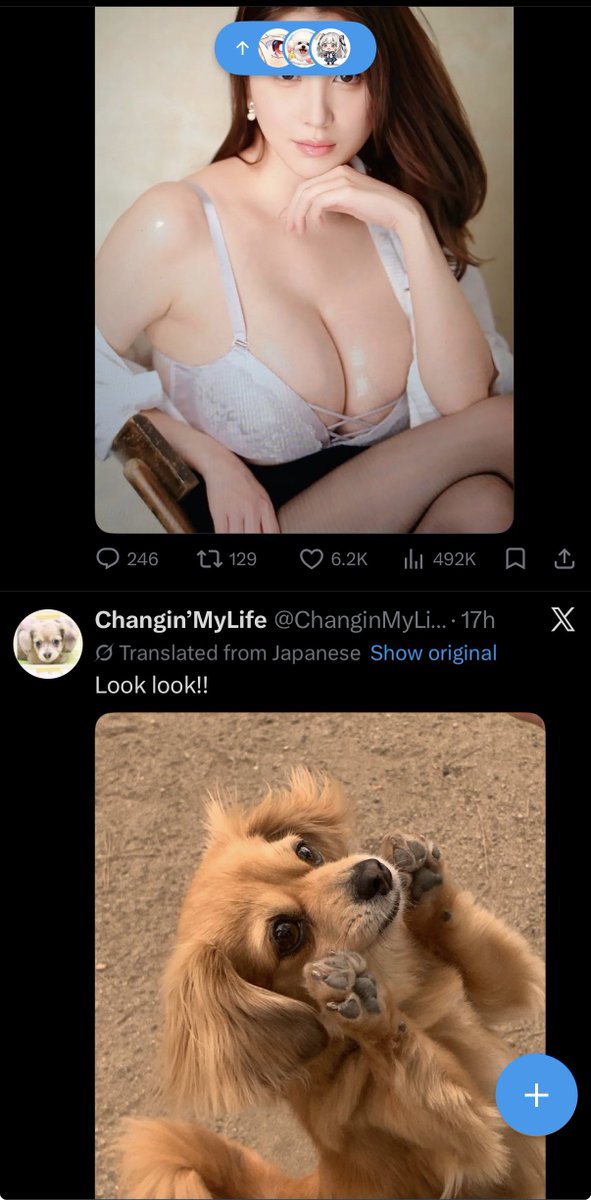 Some Shaman Whatever tweet media