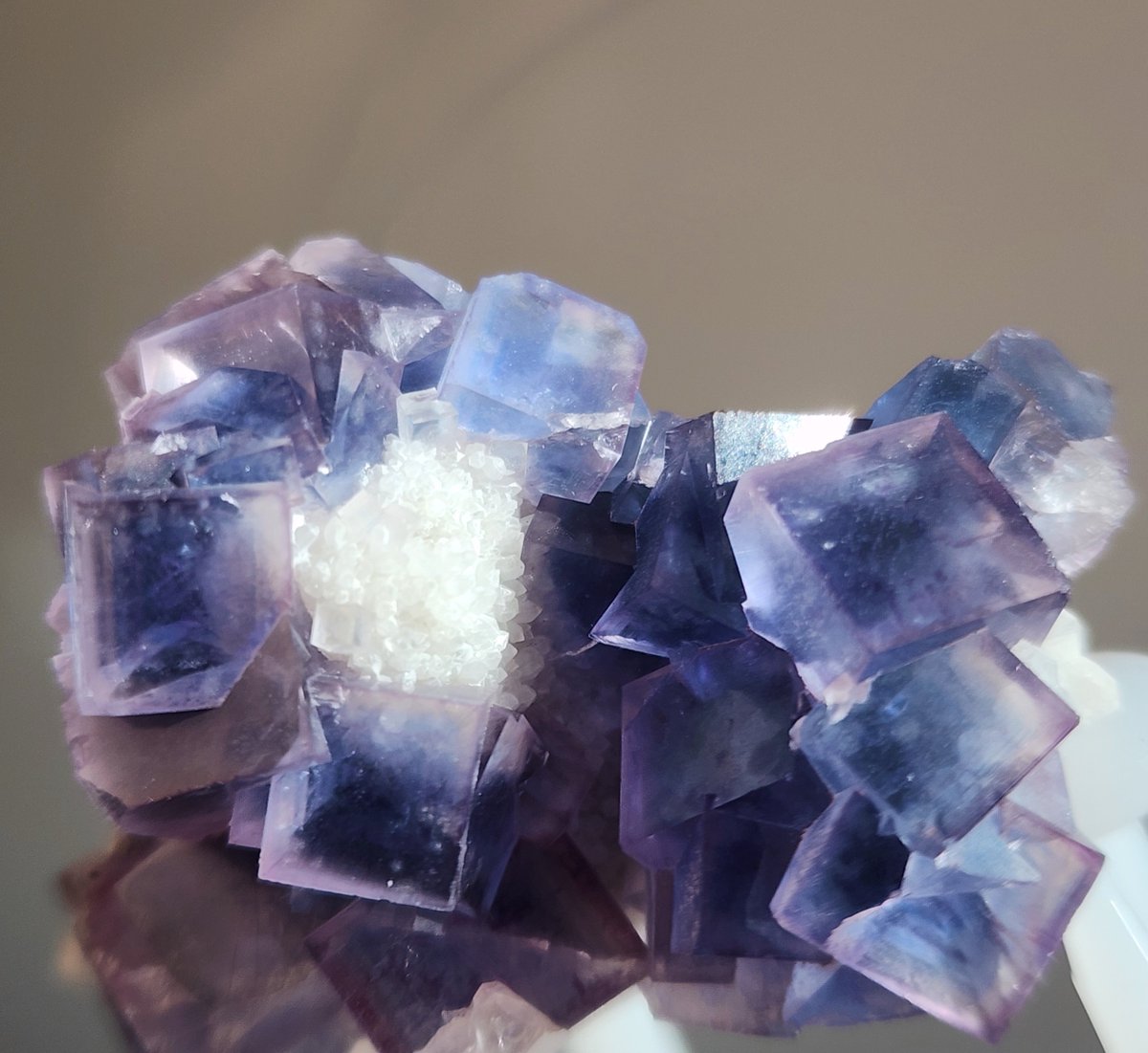 시아💎 tweet media