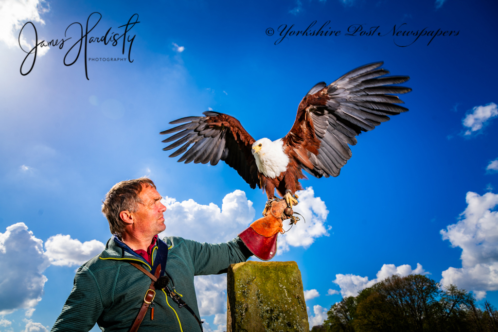 snapperjim's tweet image. Today's #Yorkshirepost #image owner Charlie Heap - @NCBPDuncombe National Centre for Birds of Prey (NCBP) near Helmsley fantastic place for the #family #visitors North #Yorkshire see more online
@yorkshirepost @JayMitchinson @MarisaCashill
#weatherpicture #regional #press
