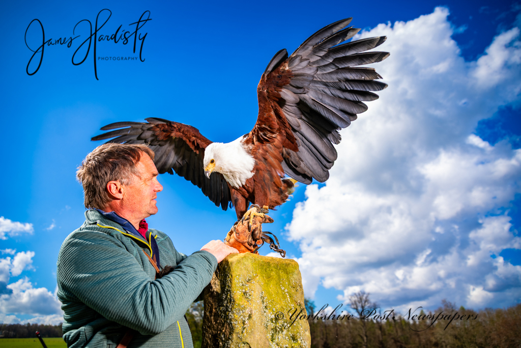 snapperjim's tweet image. Today's #Yorkshirepost #image owner Charlie Heap - @NCBPDuncombe National Centre for Birds of Prey (NCBP) near Helmsley fantastic place for the #family #visitors North #Yorkshire see more online
@yorkshirepost @JayMitchinson @MarisaCashill
#weatherpicture #regional #press
