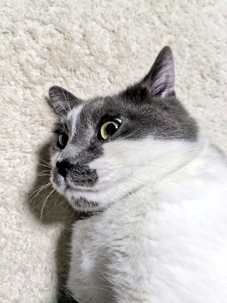 suvta@腰痛ちゅう tweet media