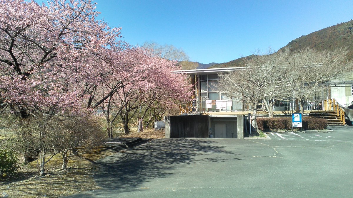 ニャバイばる tweet media