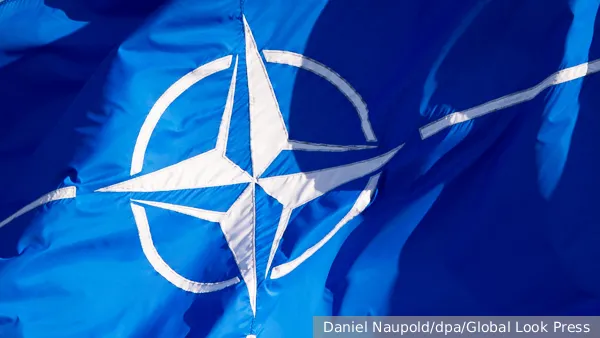 Gianfranco Cei tweet media