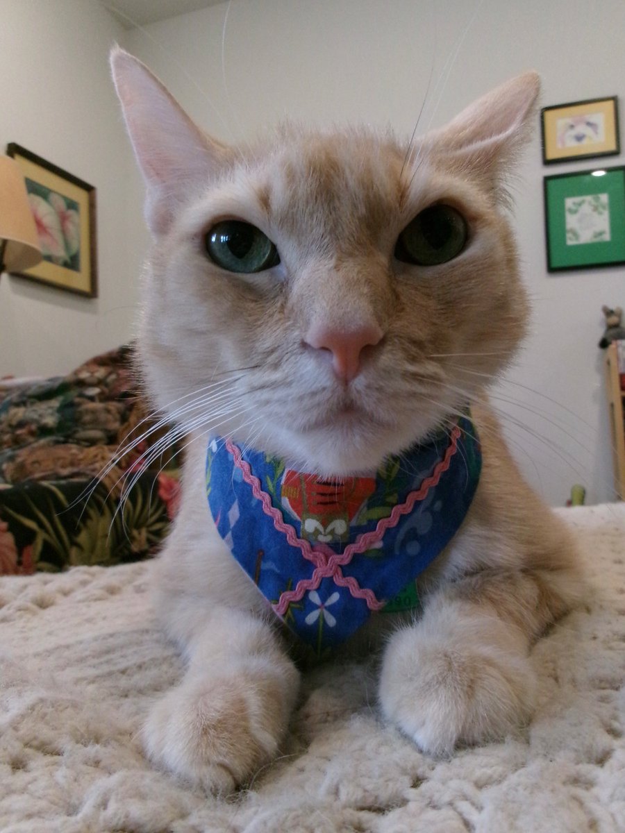 Travis Ford tweet media