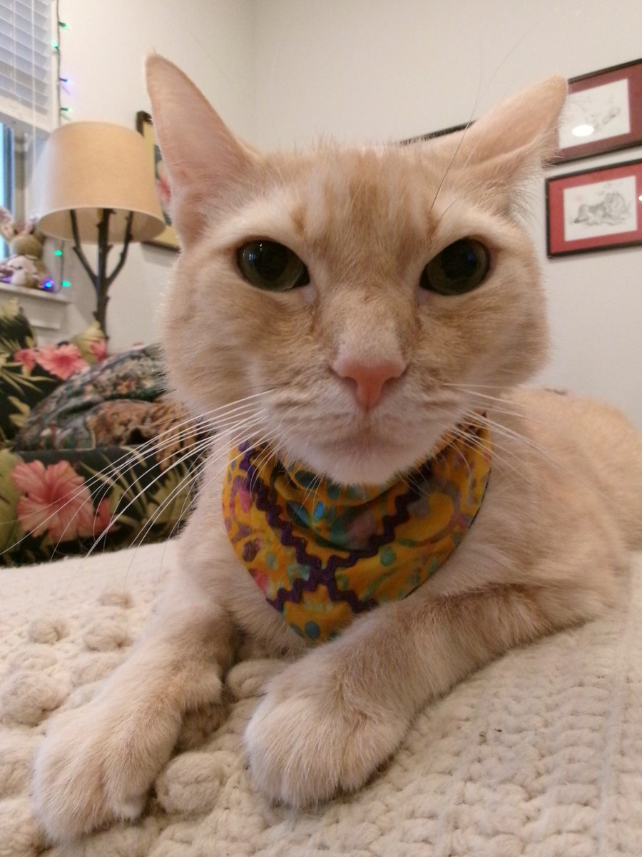 Travis Ford tweet media