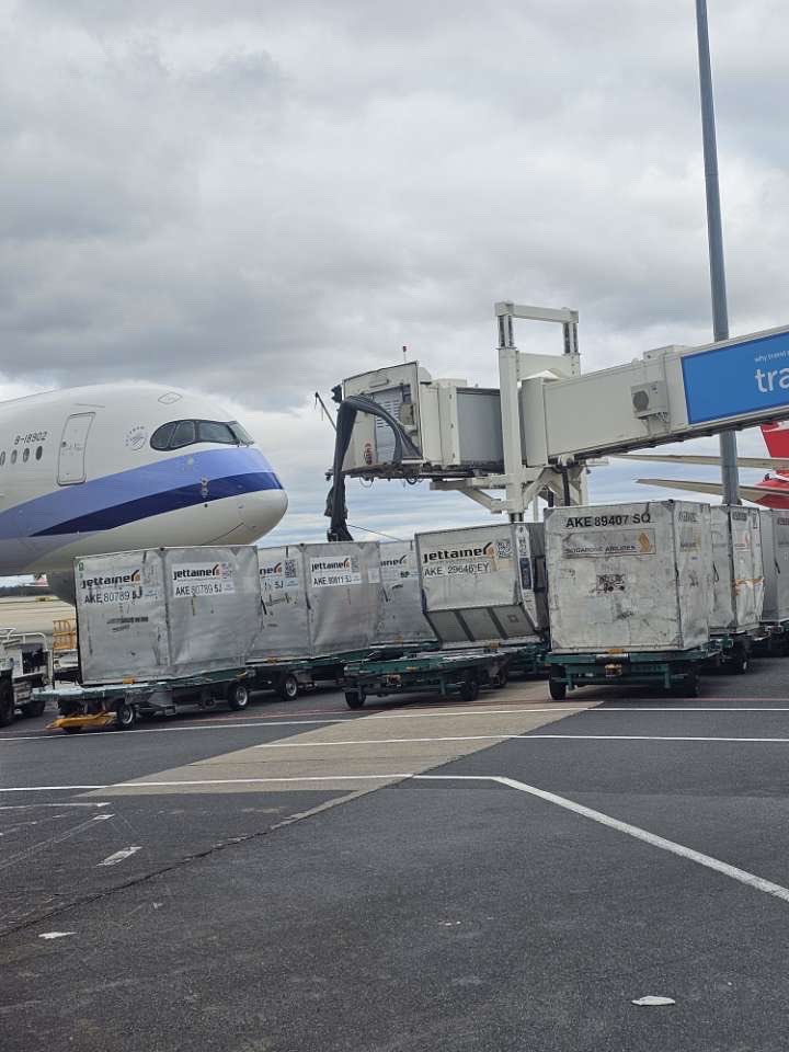 PoliticalPilot tweet media