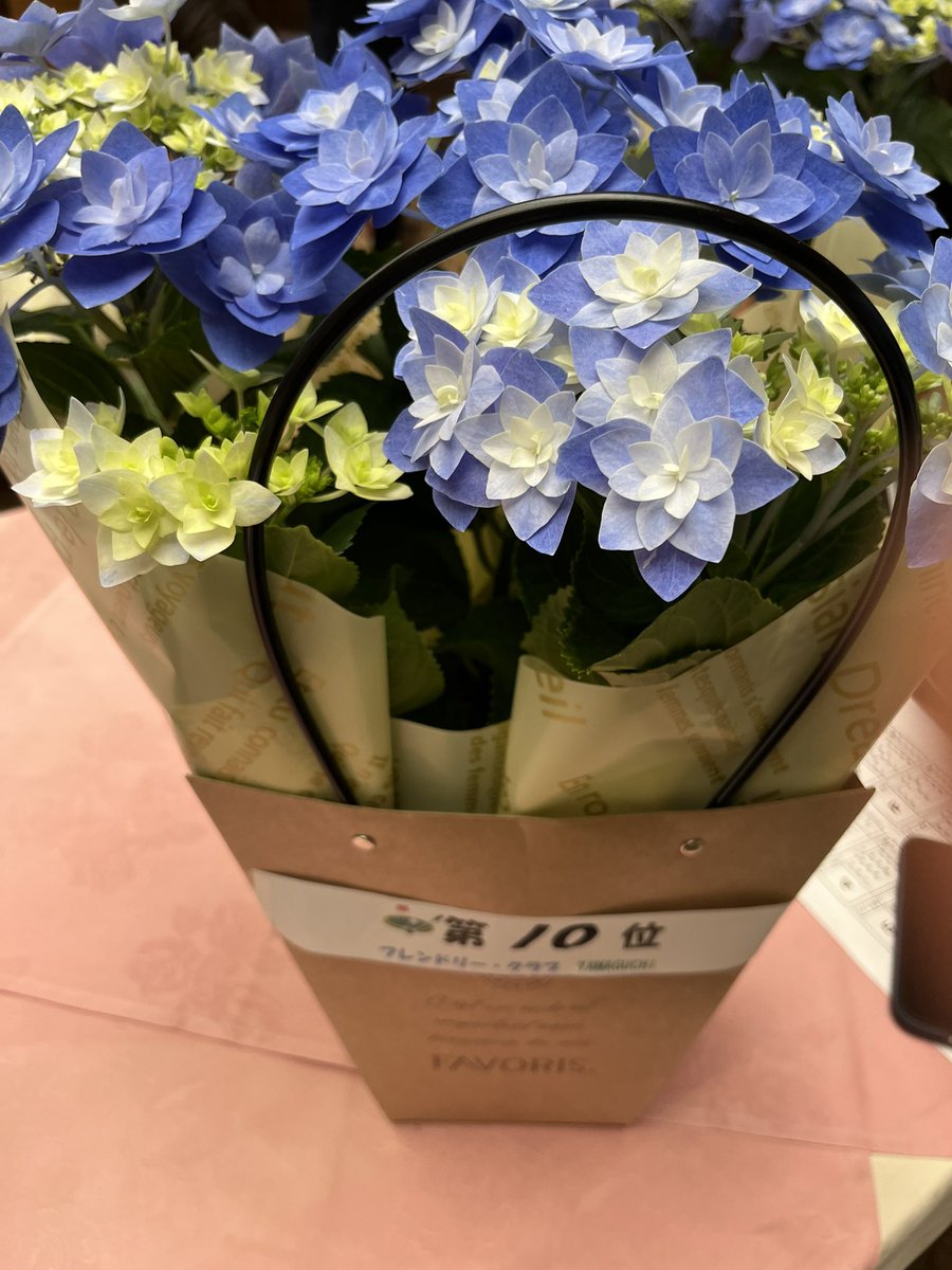 悠輝(ゆきりん)🌈⛳️🚙 tweet media