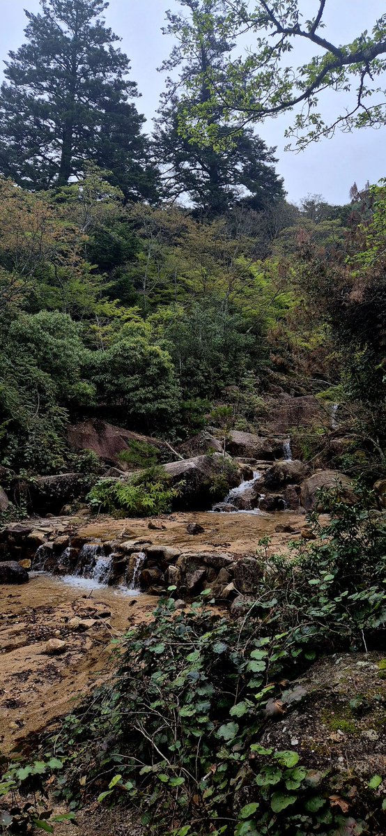 fret ✧ tweet media