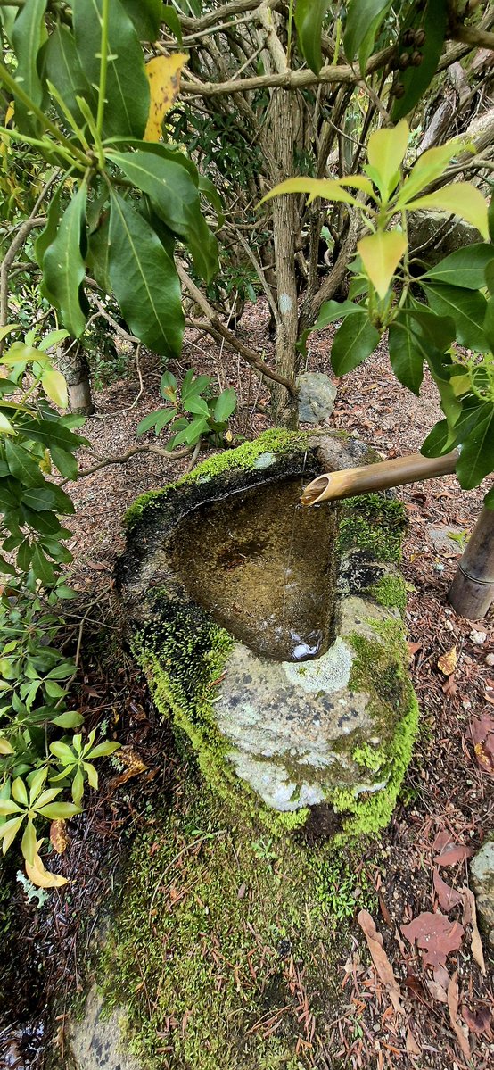 fret ✧ tweet media