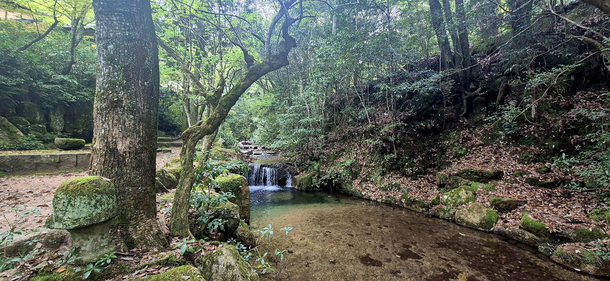 fret ✧ tweet media