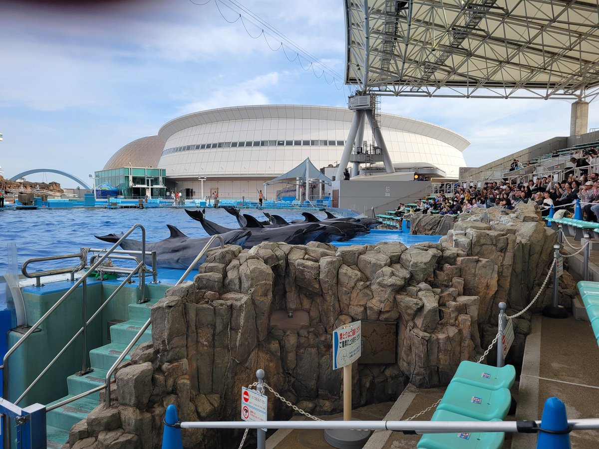 さとすけ tweet media