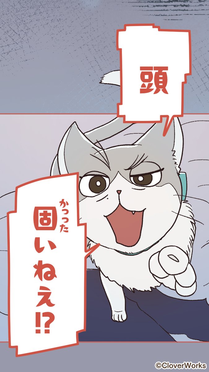 CLWWebtoon's tweet photo. 【作品紹介】
「その猫、私の祖母ですが」
悩めるわたしたちの相談相手は…猫⁉🐈🐾

アラサー＆猫の物語
#LINEマンガ にて全話配信中です👇
https://t.co/L2o1s98kHH

#CloverWorks
#CloverWorksWebtoon
#ねこそぼ https://t.co/eqaH3UDzZQ