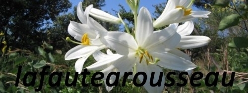 Système et Islam : ces deux Totalitarismes mortels qui nous menacent, et se ressemblent tant... lafautearousseau.hautetfort.com/archive/2021/0…