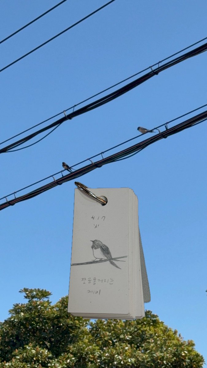 요즘 즐겁게 하는 단어장에 그림 그리기