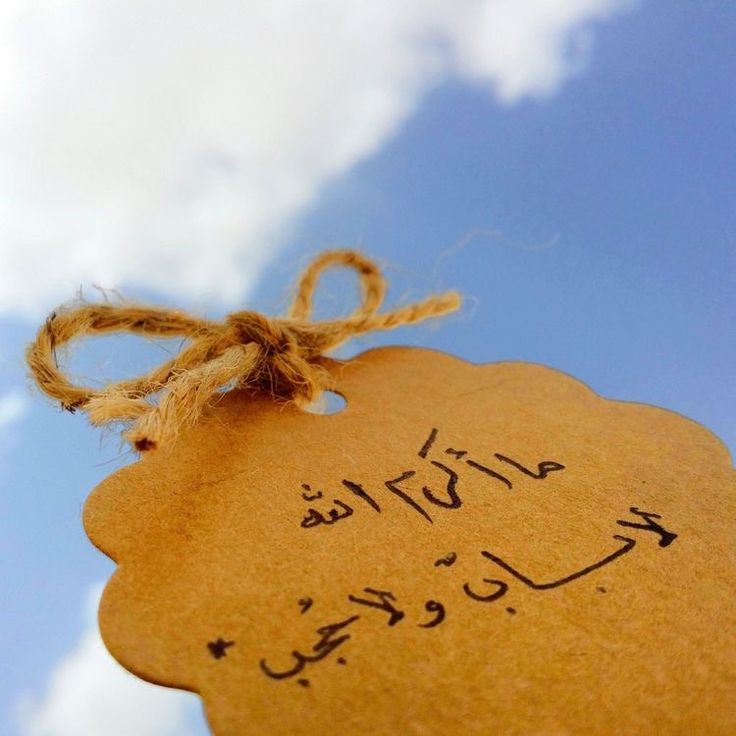 شُمـۈخ tweet media