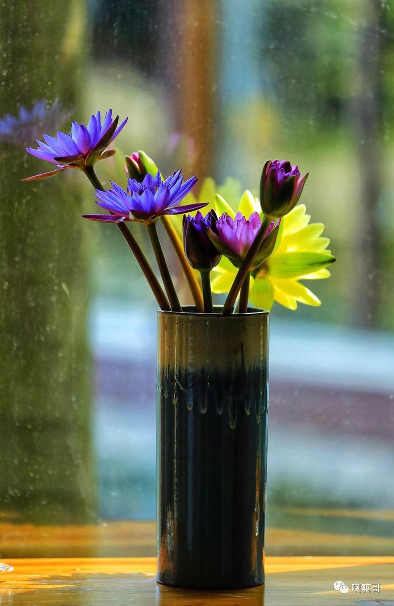 saket_sukhendra's tweet image. " Today’s not just a day—it’s a pause for joy, gratitude, and the little magic we often miss. Whether it’s a quiet coffee, a laugh with loved ones, or a candle lit just because—happy [节日/仪式日, e.g., "Thursday" / "Mid-Autumn"]!  #SlowJoy #RitualOfNow"