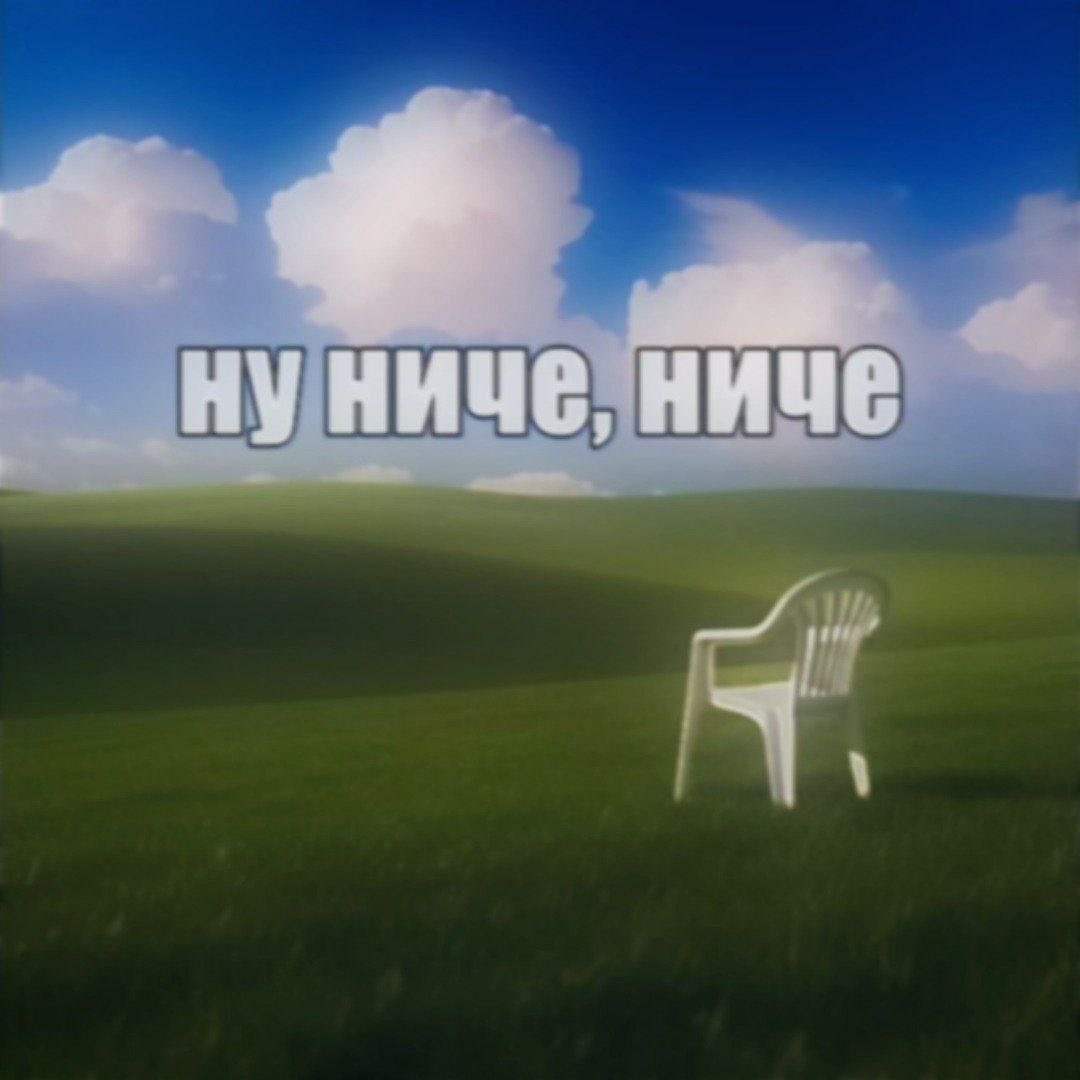 Шиза&База tweet media