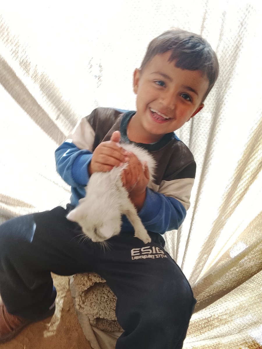 Shahd hamada tweet media