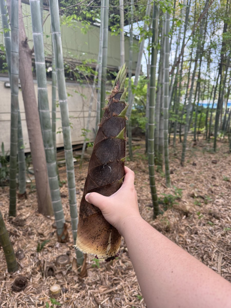 あばちゃま🔜OFFF tweet media