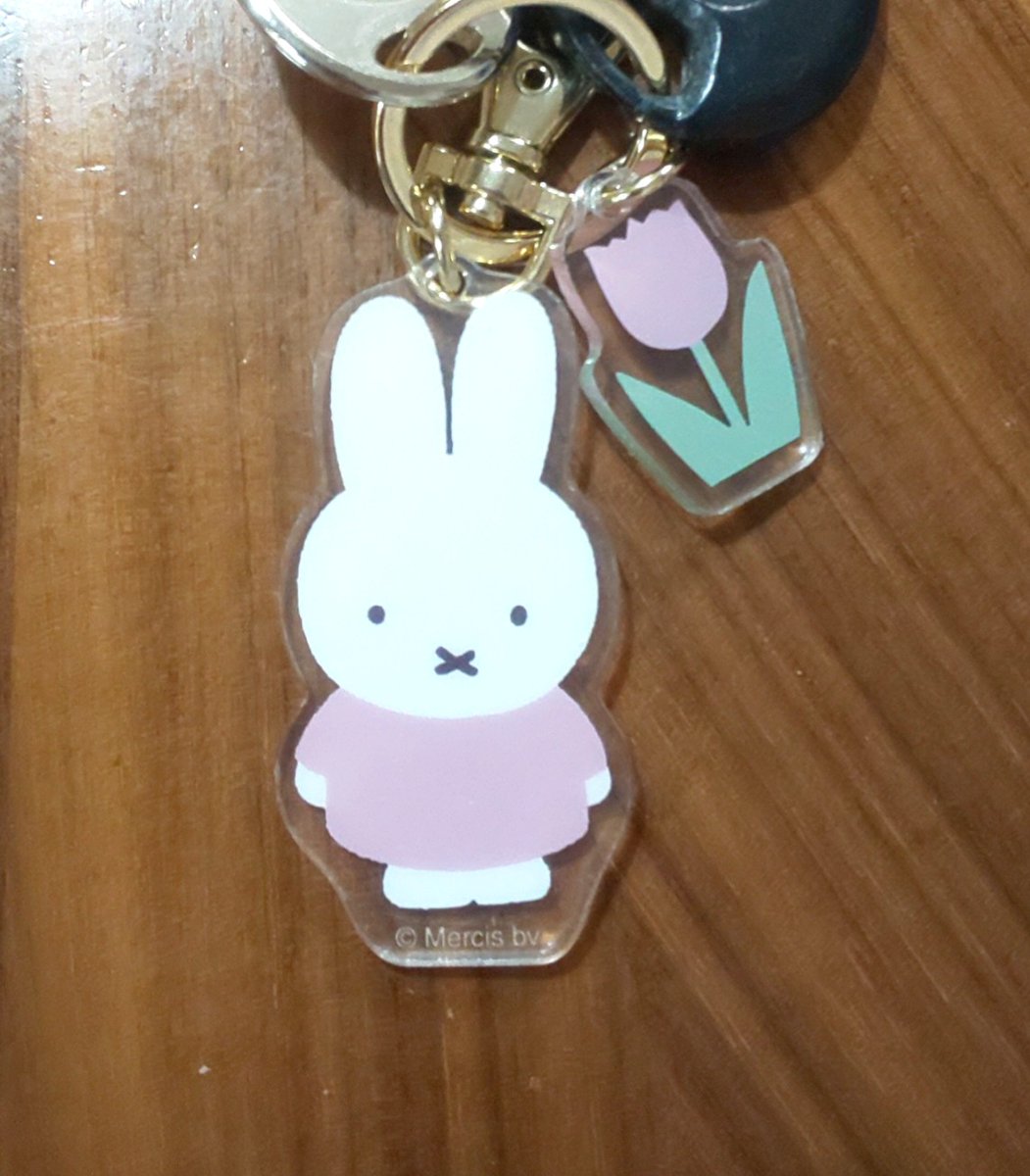 昨日の仕事は6時終了予定がまたまた延びて7時終了で⋯疲れたわ😞
今日は休みなので午前中はジム行って午後はヘアカラー専門店で根元染めを⋯
毛染め剤塗られて待機してる間ちょっとウトウトしてしまった😅
写真は、少し前に雑貨屋さんで買ったミッフィーちゃんのキーホルダー♪