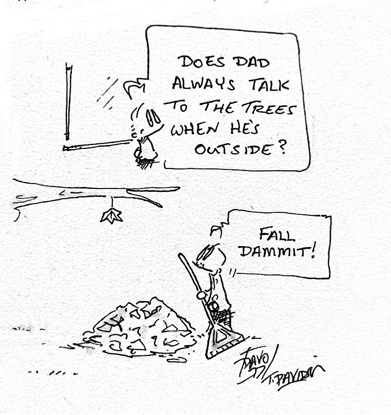 Tony Davidson tweet media