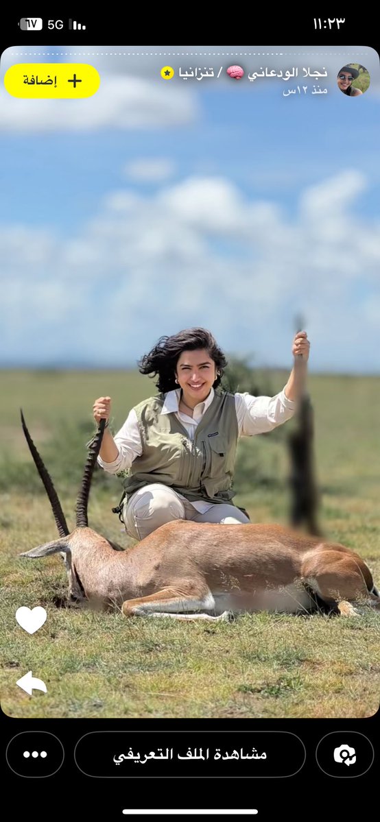 ฅ•ω•ฅ tweet media