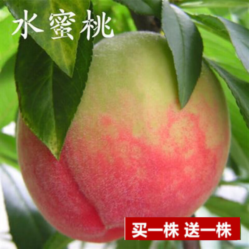 Samantha Grisham tweet media