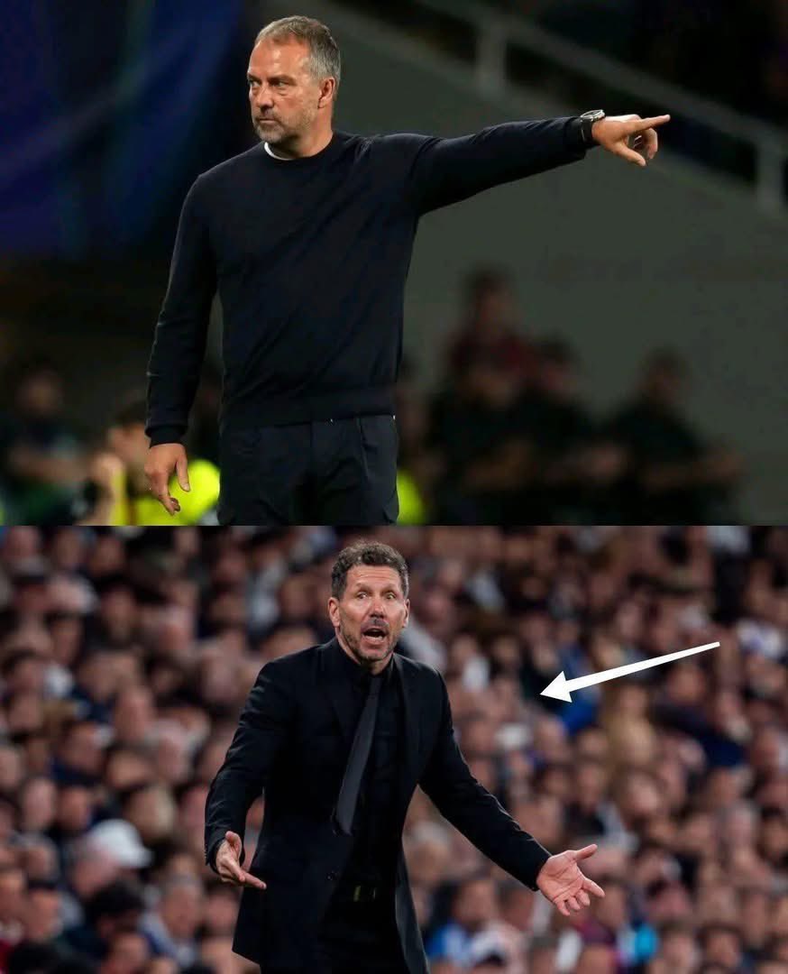 Mr Wills tweet media