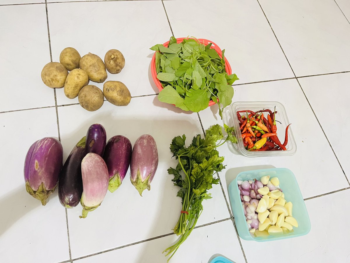 teamtaem tweet media