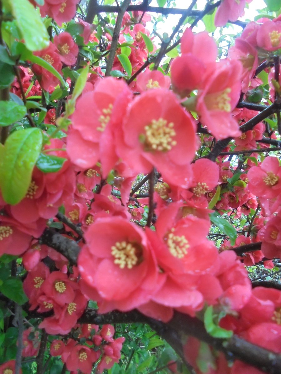 이근제 tweet media