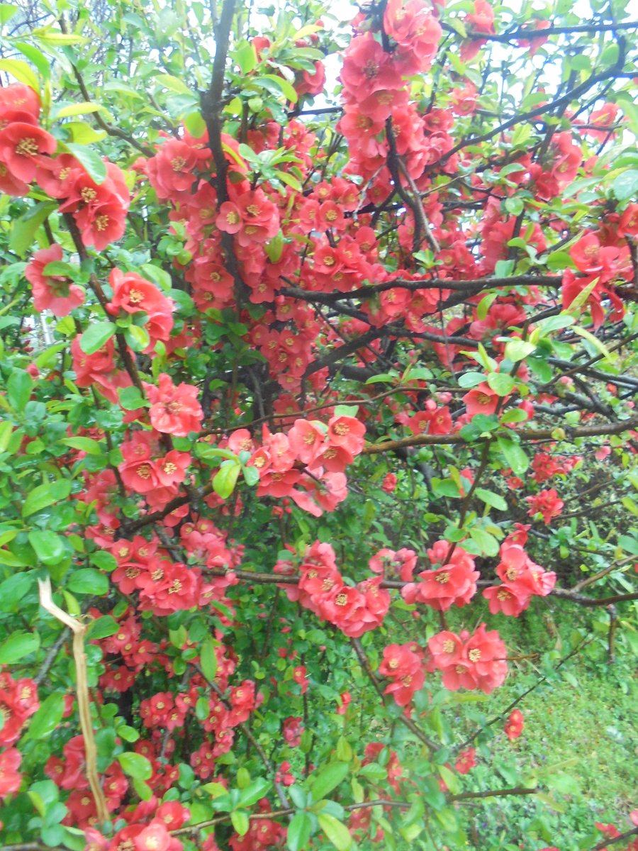 이근제 tweet media