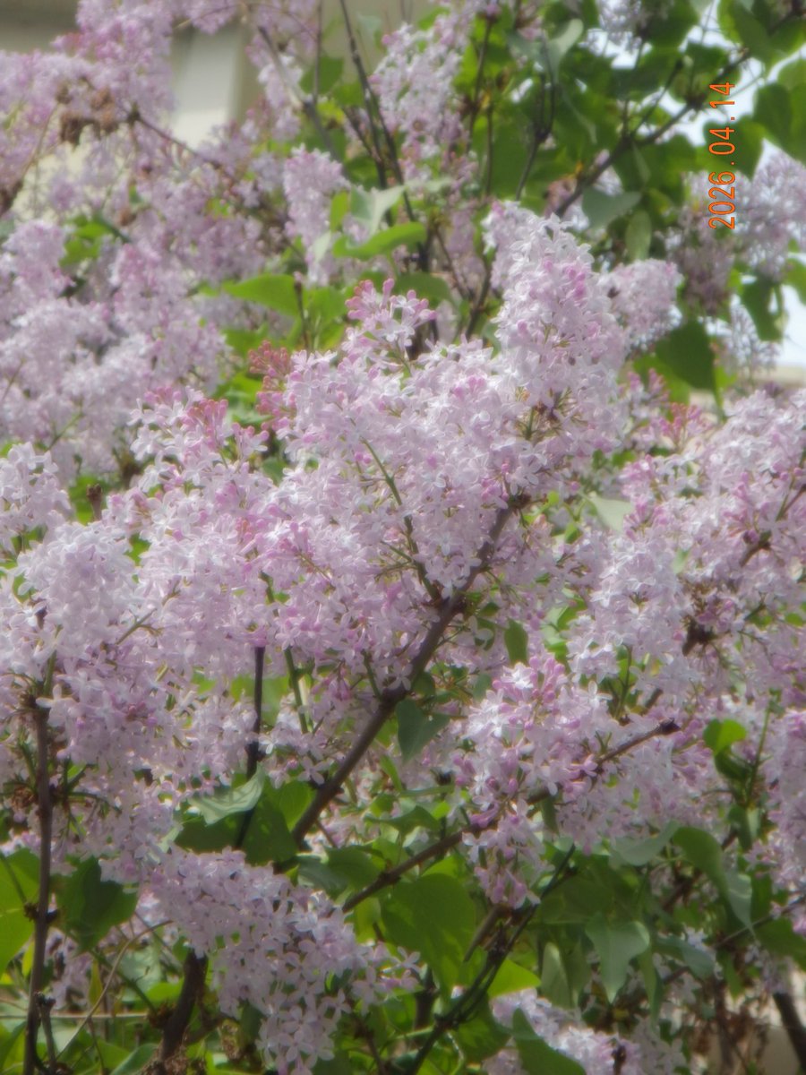 𝗦𝟮 tweet media