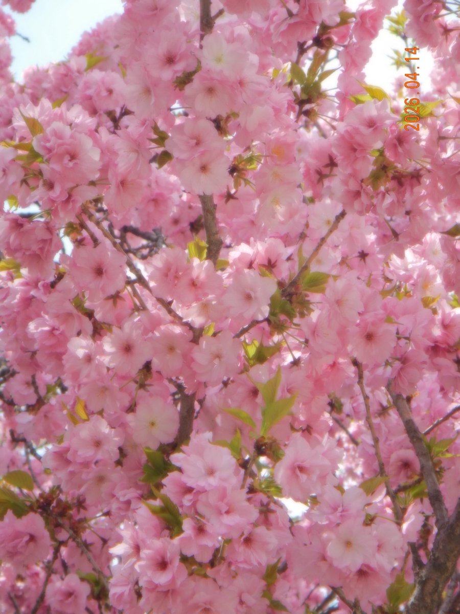 𝗦𝟮 tweet media