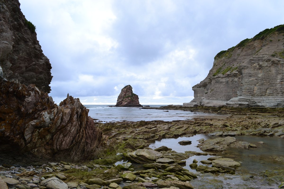 Josu Narbarte tweet media