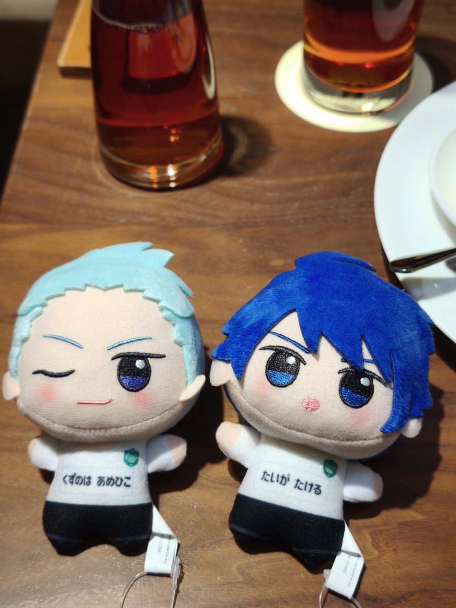 そしてこちらはなんばのらしんばんで1ぬい290円で売られていた雨彦さんとタケルくん。そりゃお迎えするよね。