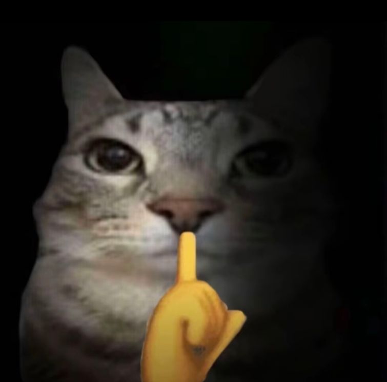 Nanouquentgo tweet media