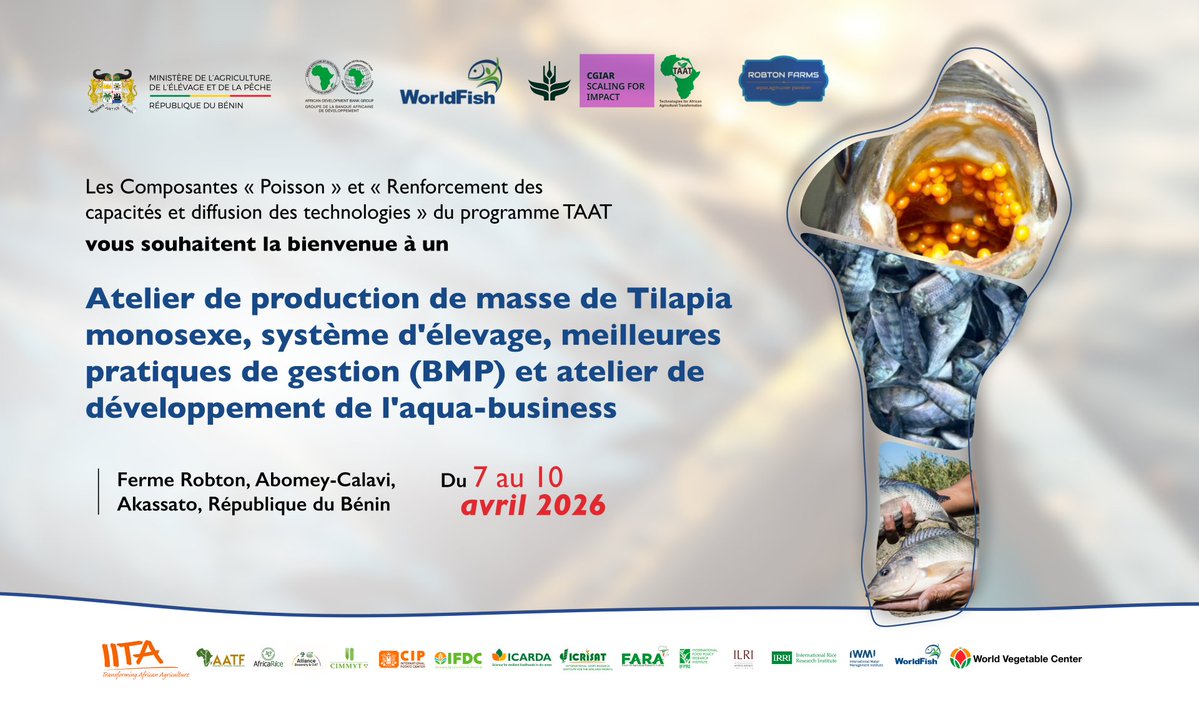 Taat_Africa's tweet image. #Completed, courtesy of #TAATFish, led by @WorldFishCenter and partners in #Benin.

#AgriculturalTransformation #Aquaculture #FoodSecurity #TAATCompacts #ScalingForImpact #EngageTAAT #FeedAfrica

@AfDB_Group @gatesfoundation @GatesAfrica
@CGIAR @CGIARScaling @IITA_CGIAR