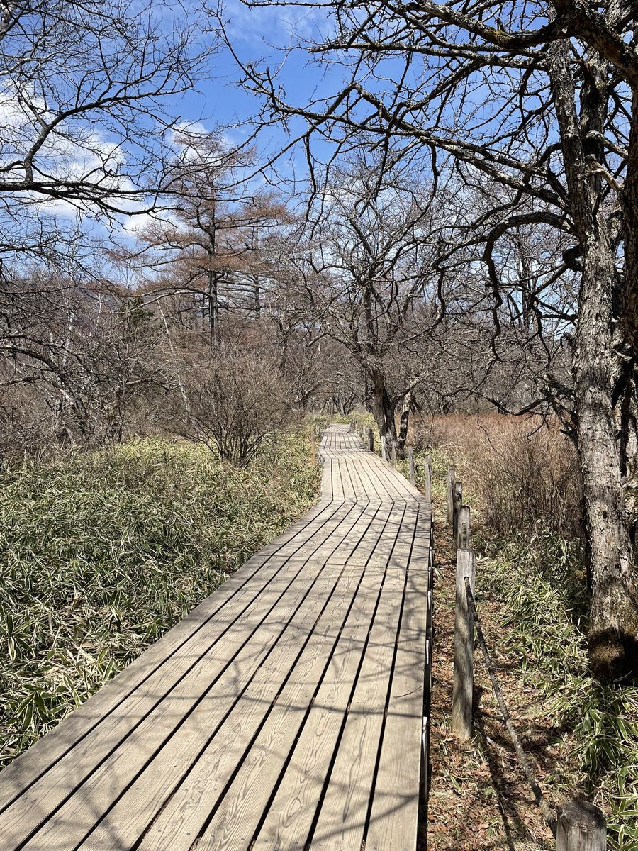 NKTNaui's tweet photo. 戦場ヶ原ハイクがめちゃくちゃ今欲してる体験やった
5キロ程度、ほぼ1人の空間でひたすら歩く歩くした
こんな大湿原が保持されてるなんて、豊かだ

目的地を湯滝にしたのも大正解やった
なかたにのだいぼうけん https://t.co/Qb0423rjs5