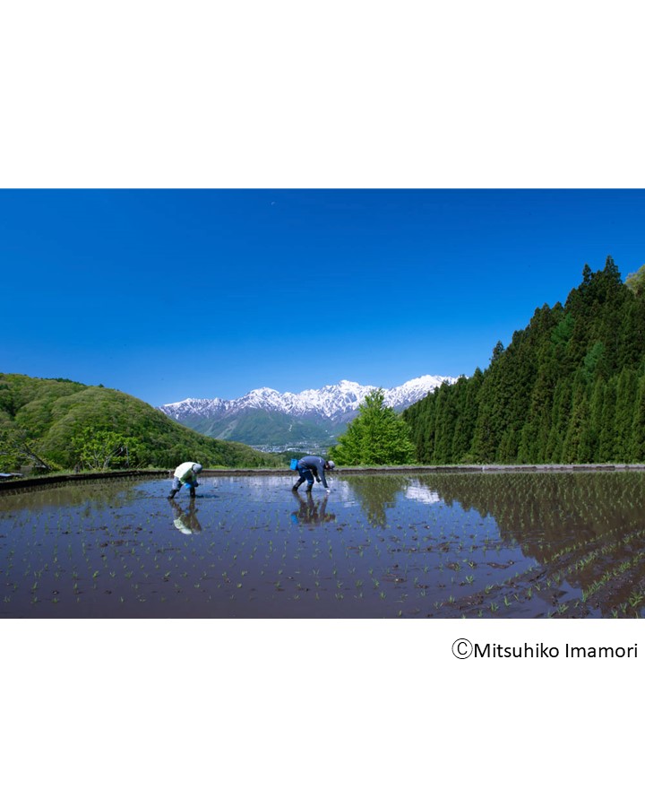 Sony Imaging Gallery tweet media